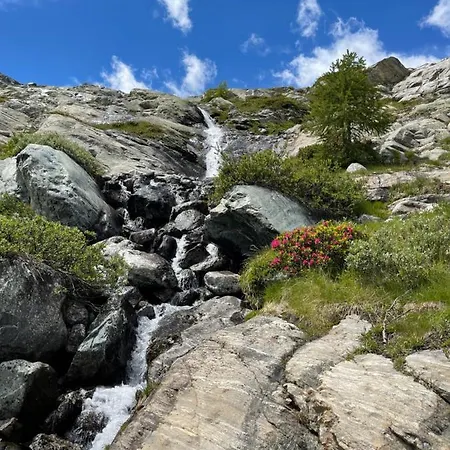 Domek alpejski Casa Sharm *